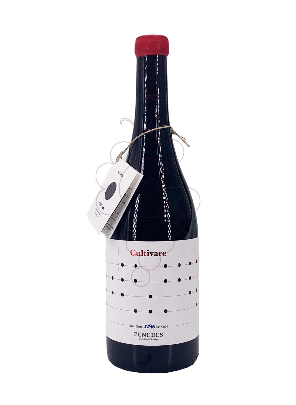 Photo Red Cultivare red wine