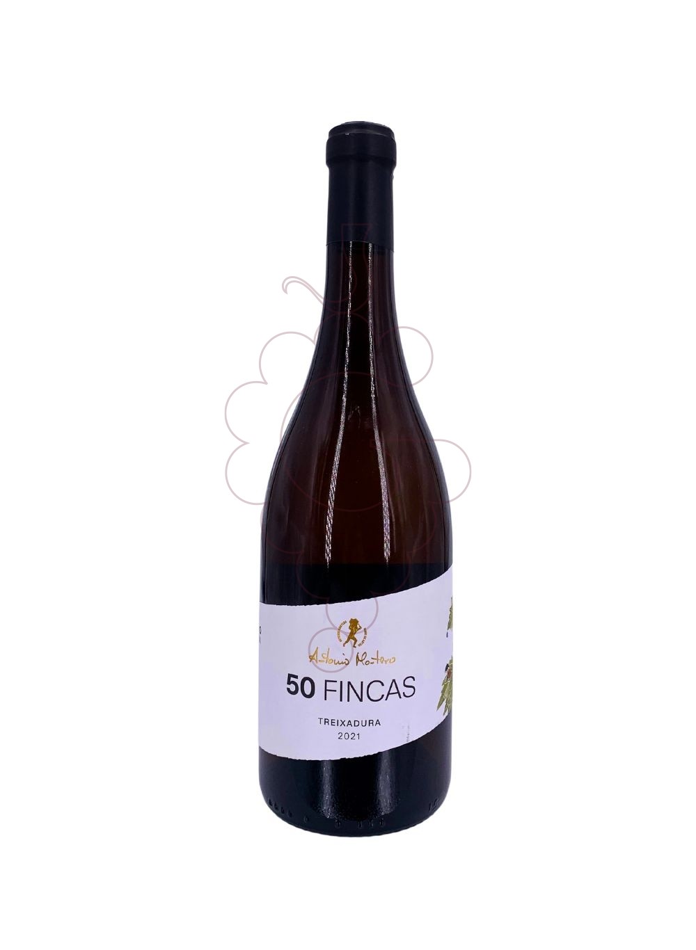 Photo Antonio Montero de Finca white wine