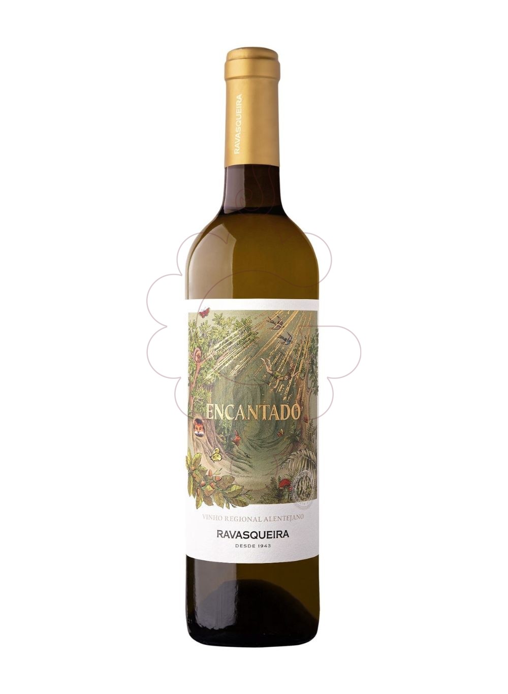 Photo Encantado Ravasqueira blanc white wine