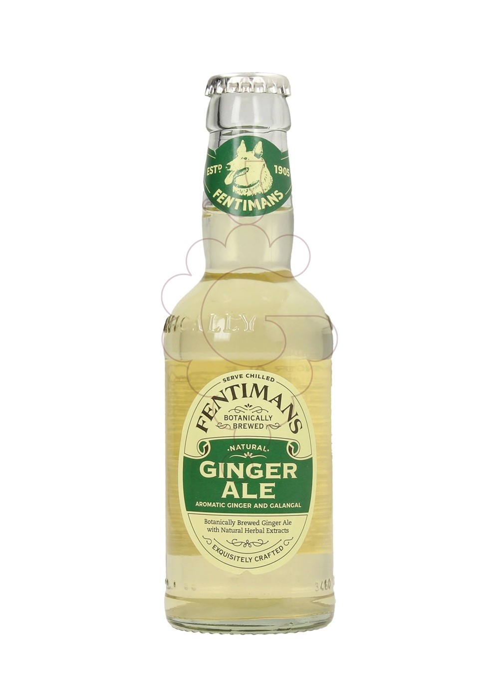 Photo Soft drinks Fentimans Ginger Ale