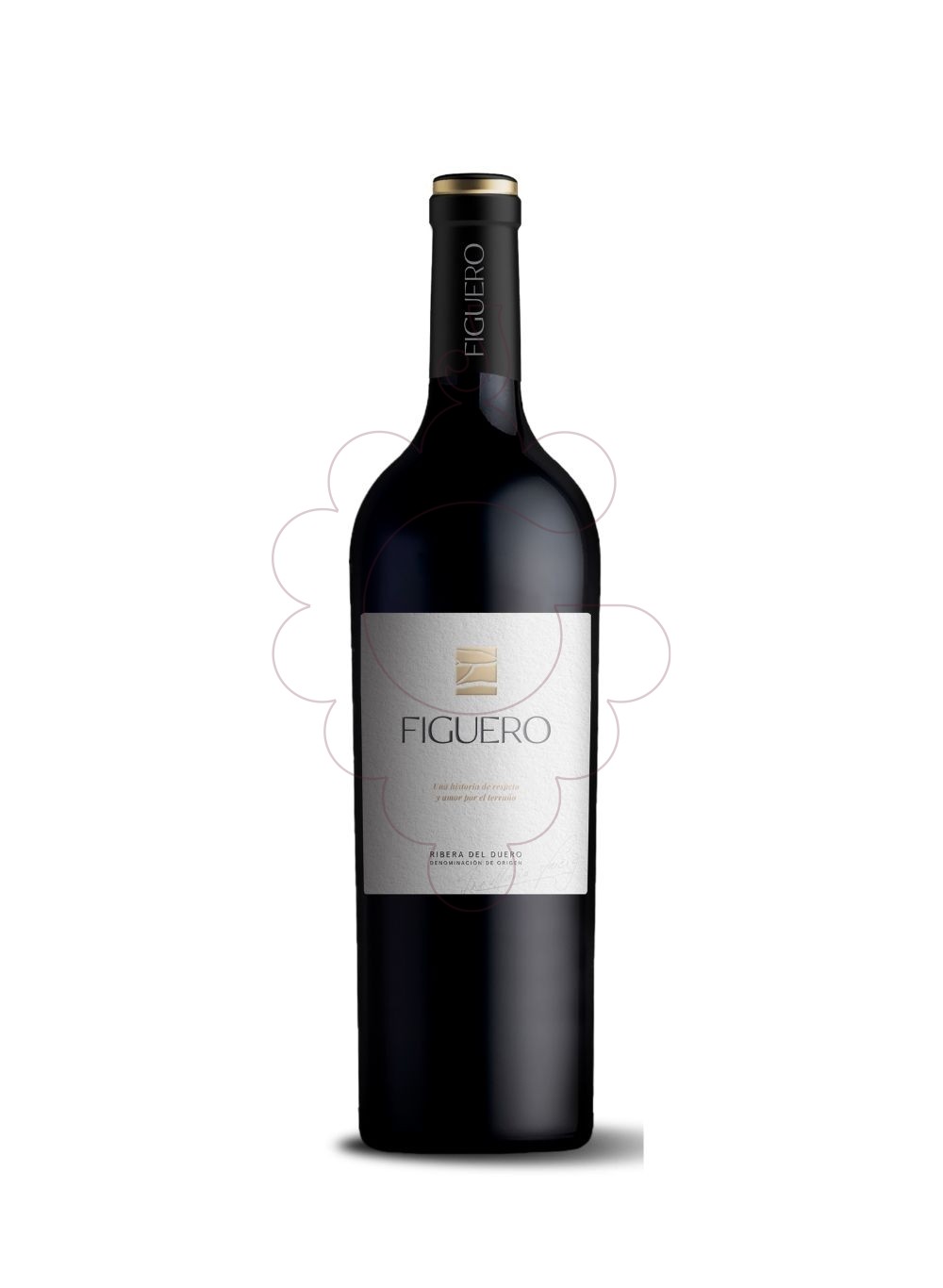 Photo Figuero Crianza Magnum red wine