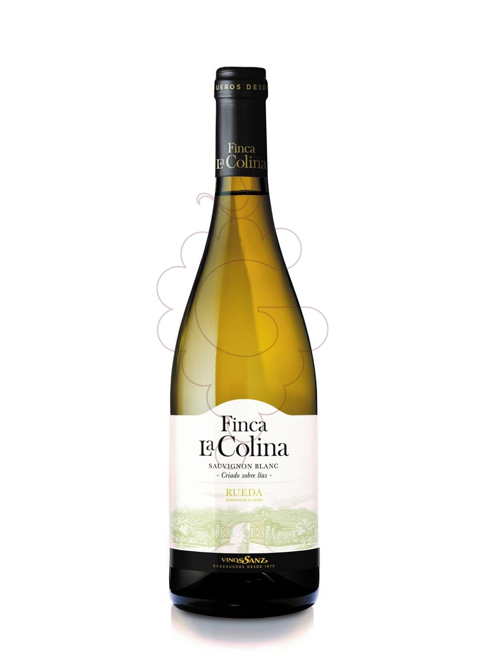 Photo Finca la Colina Sauvignon Blanc white wine