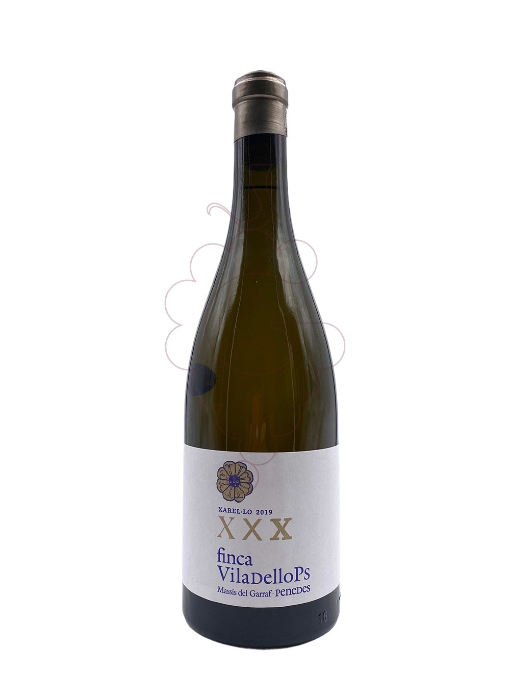 Photo Finca Viladellops Xarel·lo white wine