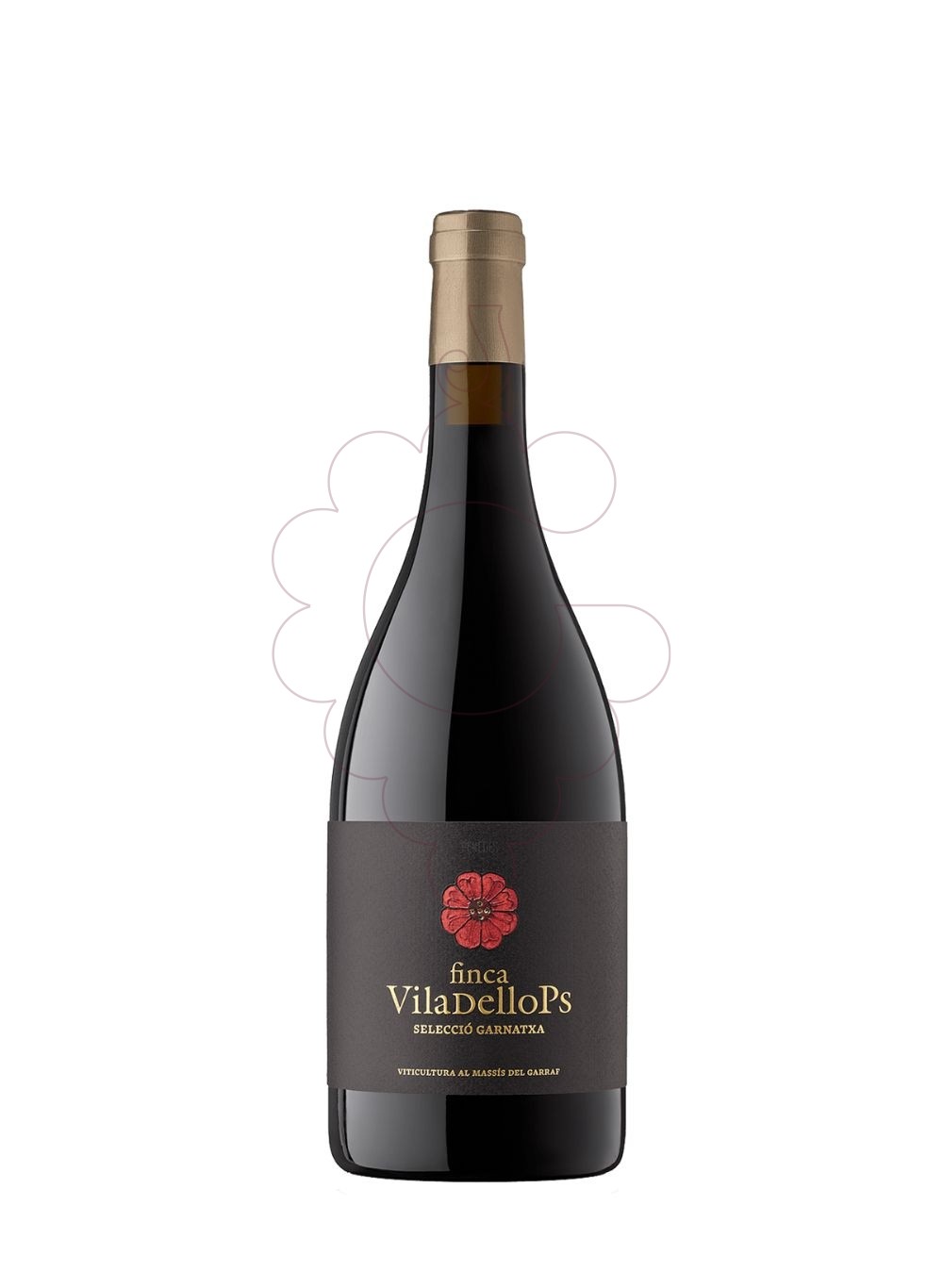 Photo Red Finca Viladellops red wine