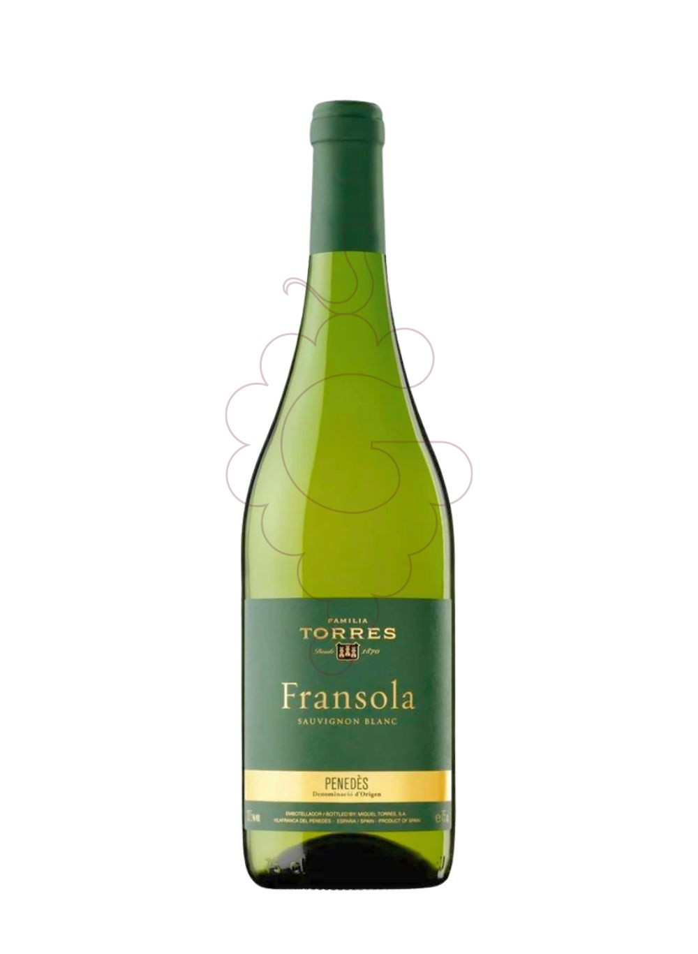 Photo Fransola Magnum white wine