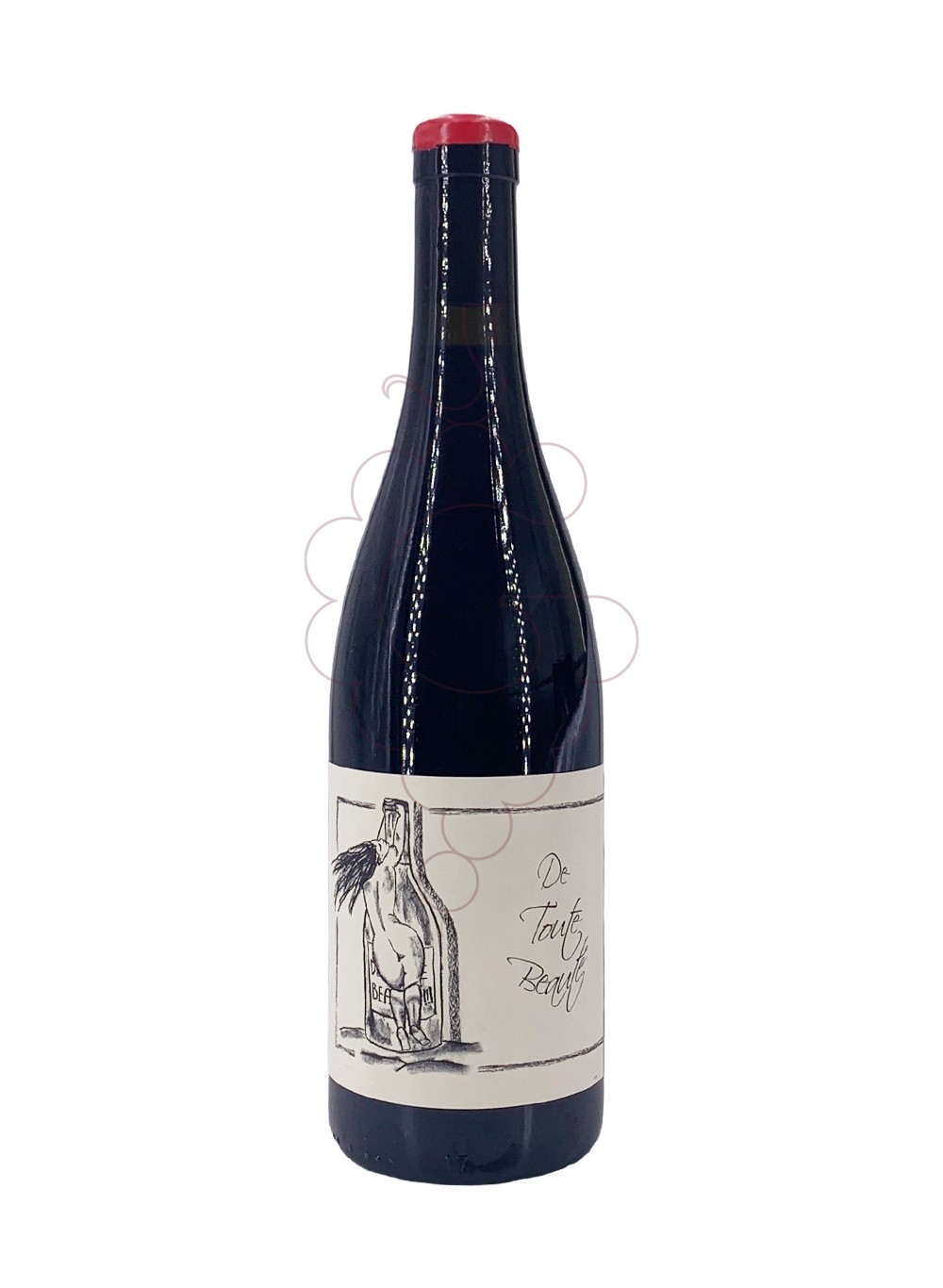 Photo Ganevat de Toute Beauté red wine