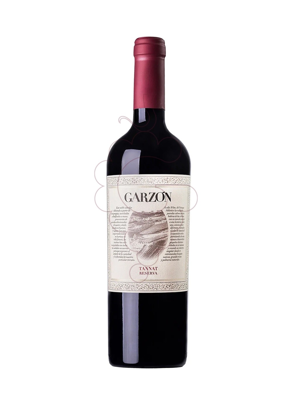 Photo Garzon tannat res.2021 75 cl red wine