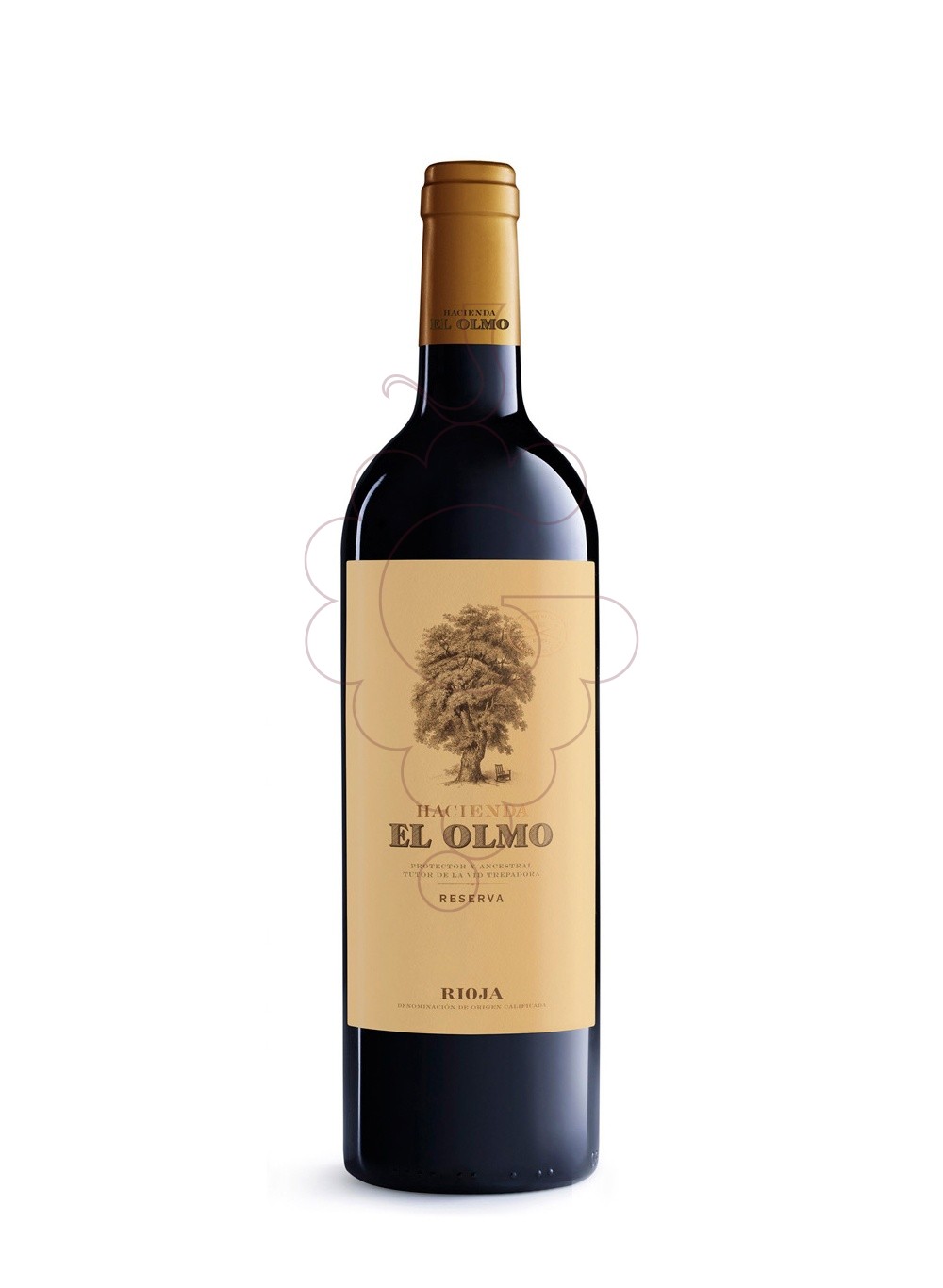 Photo Hacienda el Olmo Reserva red wine