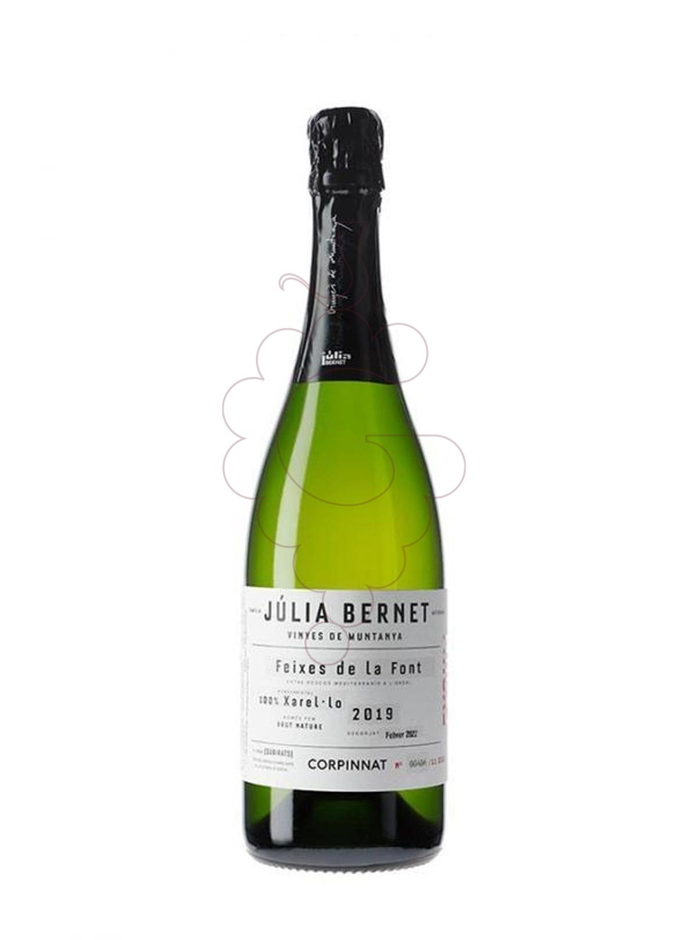 Photo Julia bernet vinyes de muntany sparkling wine