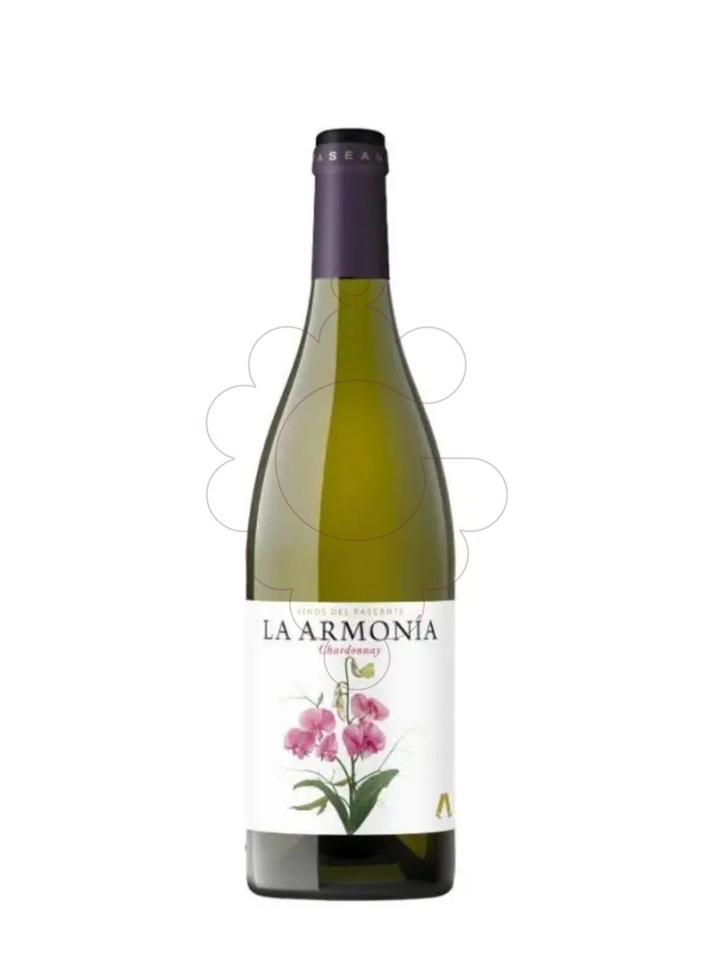 Photo La armonia blanc chardonnay white wine