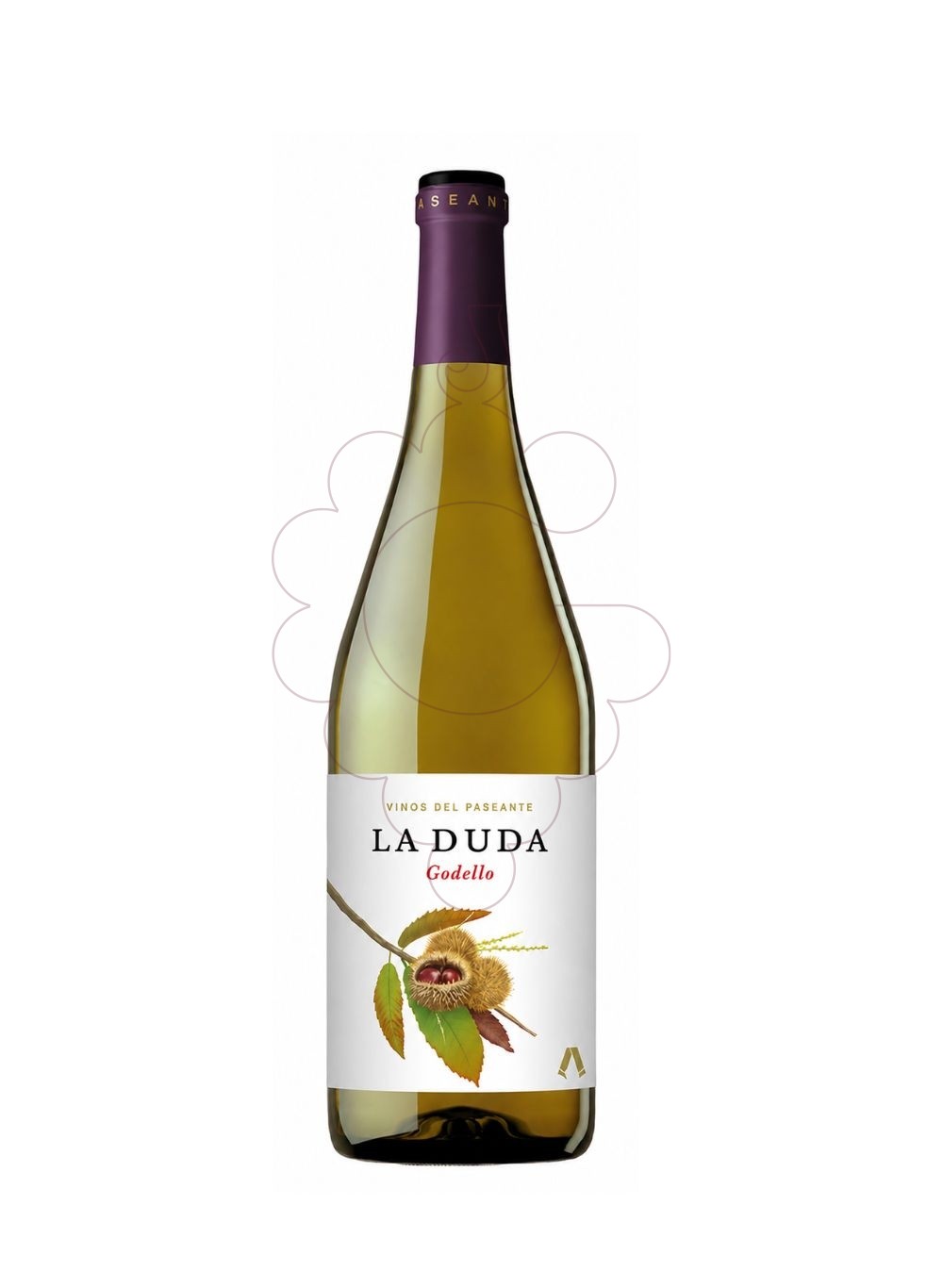 Photo La Duda white wine