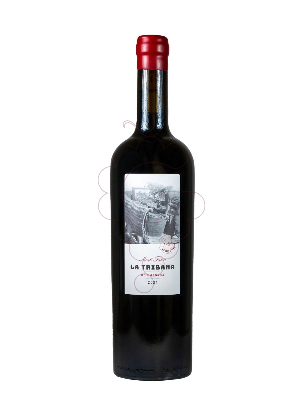 Photo La tribana marti fabra 2021 red wine