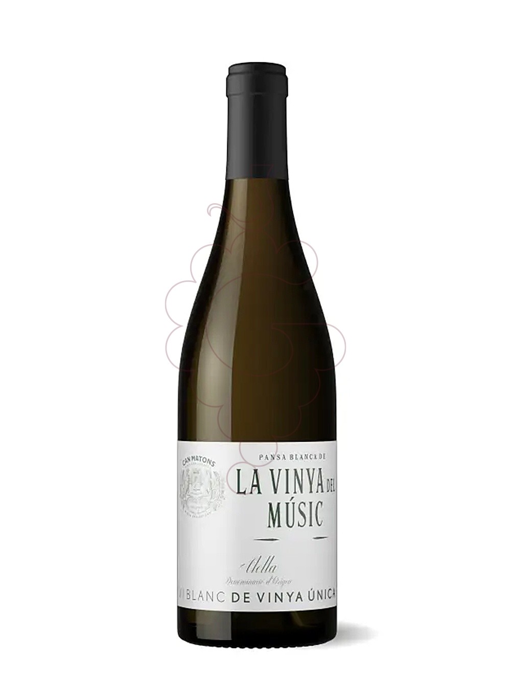 Photo Can Matons La Vinya del Músic white wine