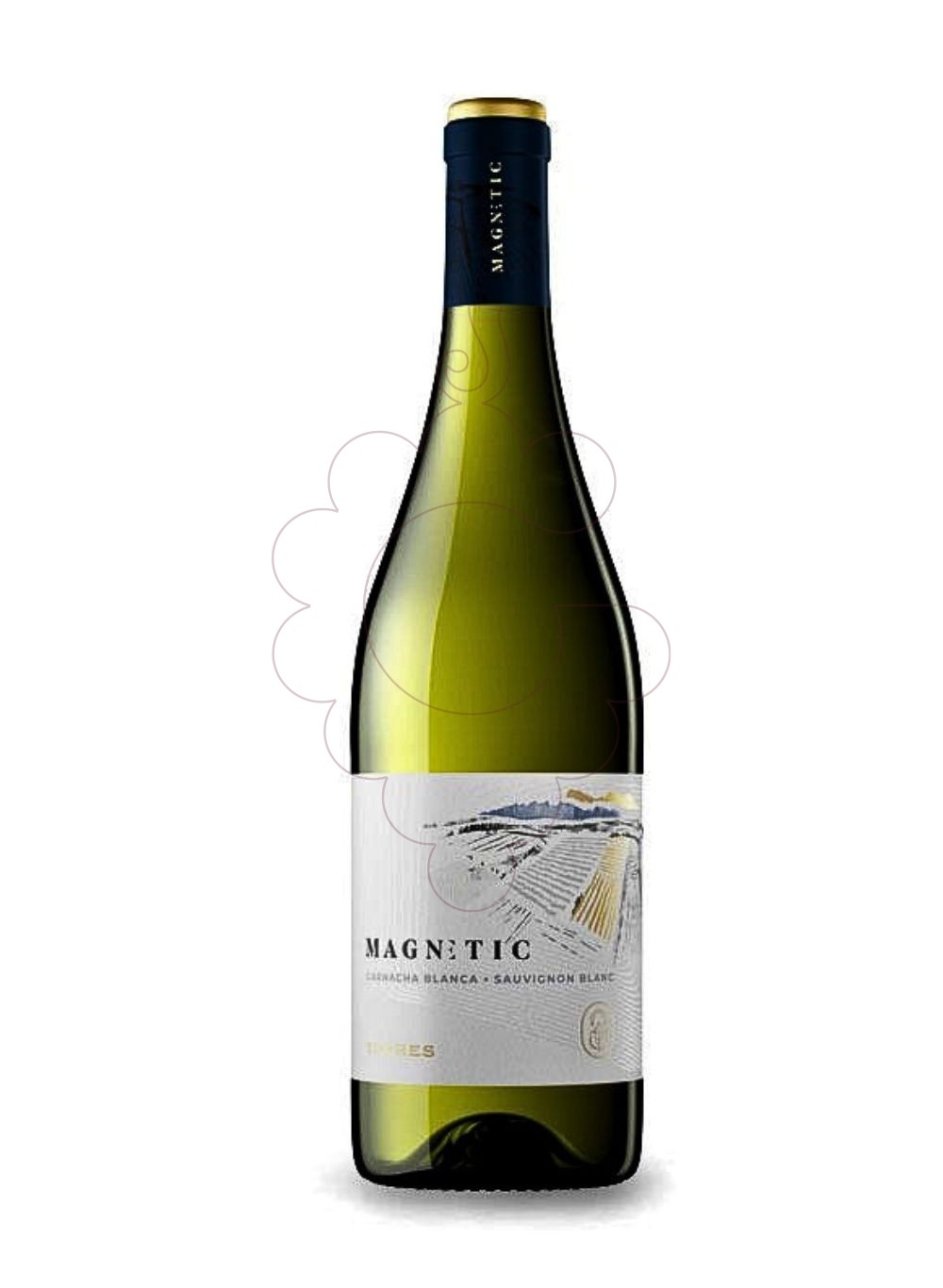 Photo White Magnetic white wine