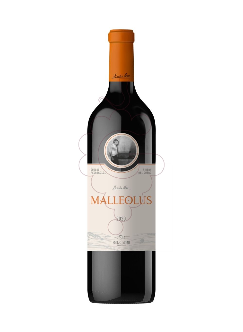 Photo Malleolus  red wine