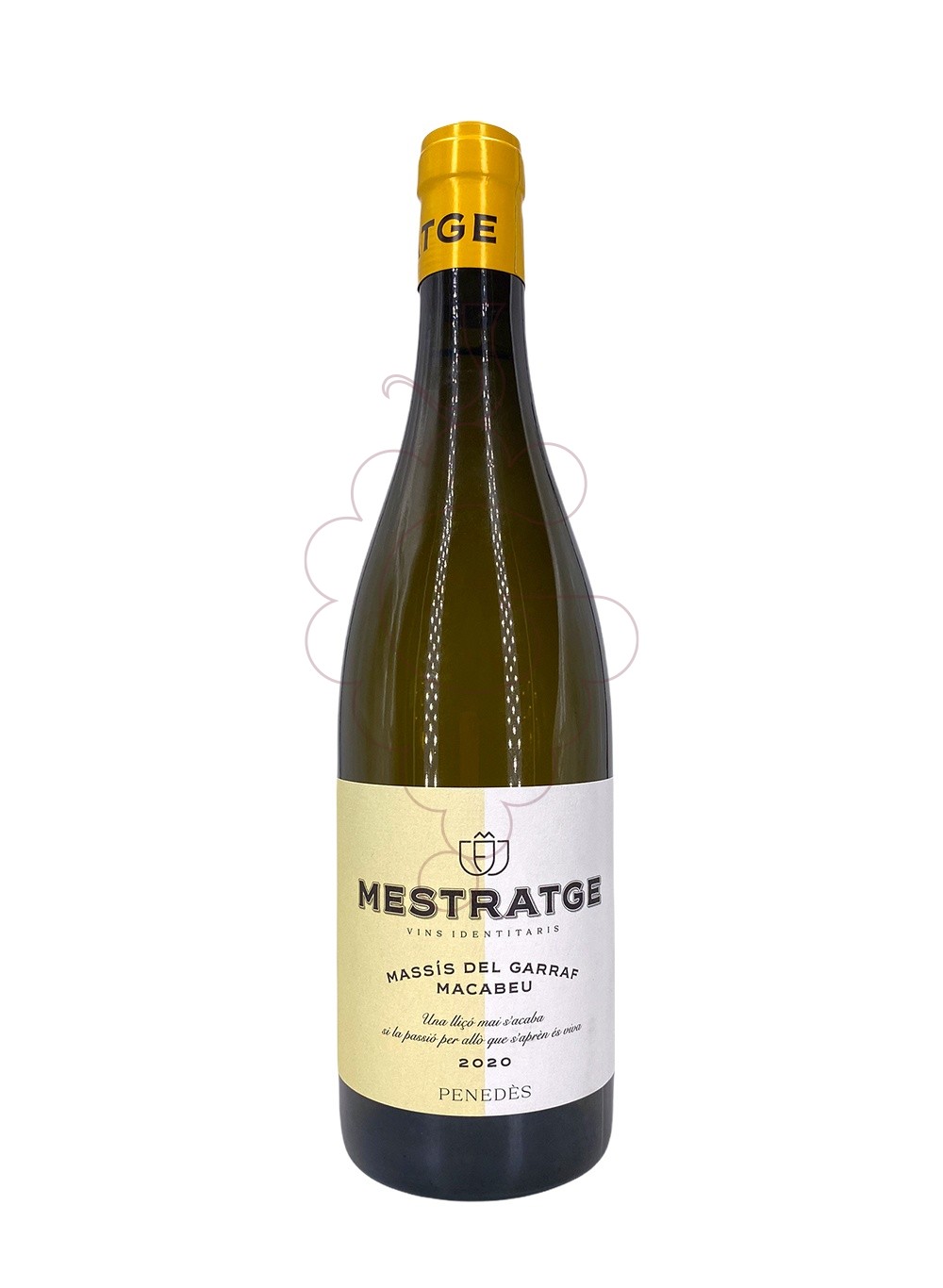 Photo Mestratge Macabeu white wine