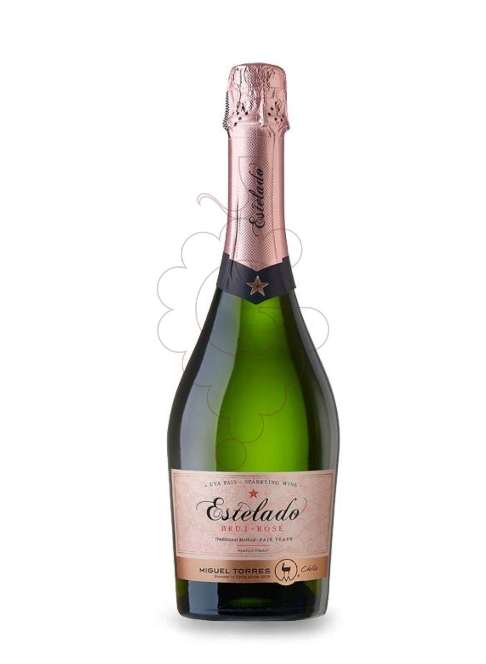Photo Estelado Miguel Torres Brut Pinot Noir sparkling wine