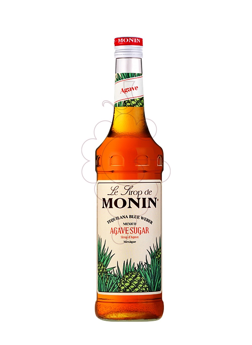 Photo Syrups Monin Agave (s/alcohol)