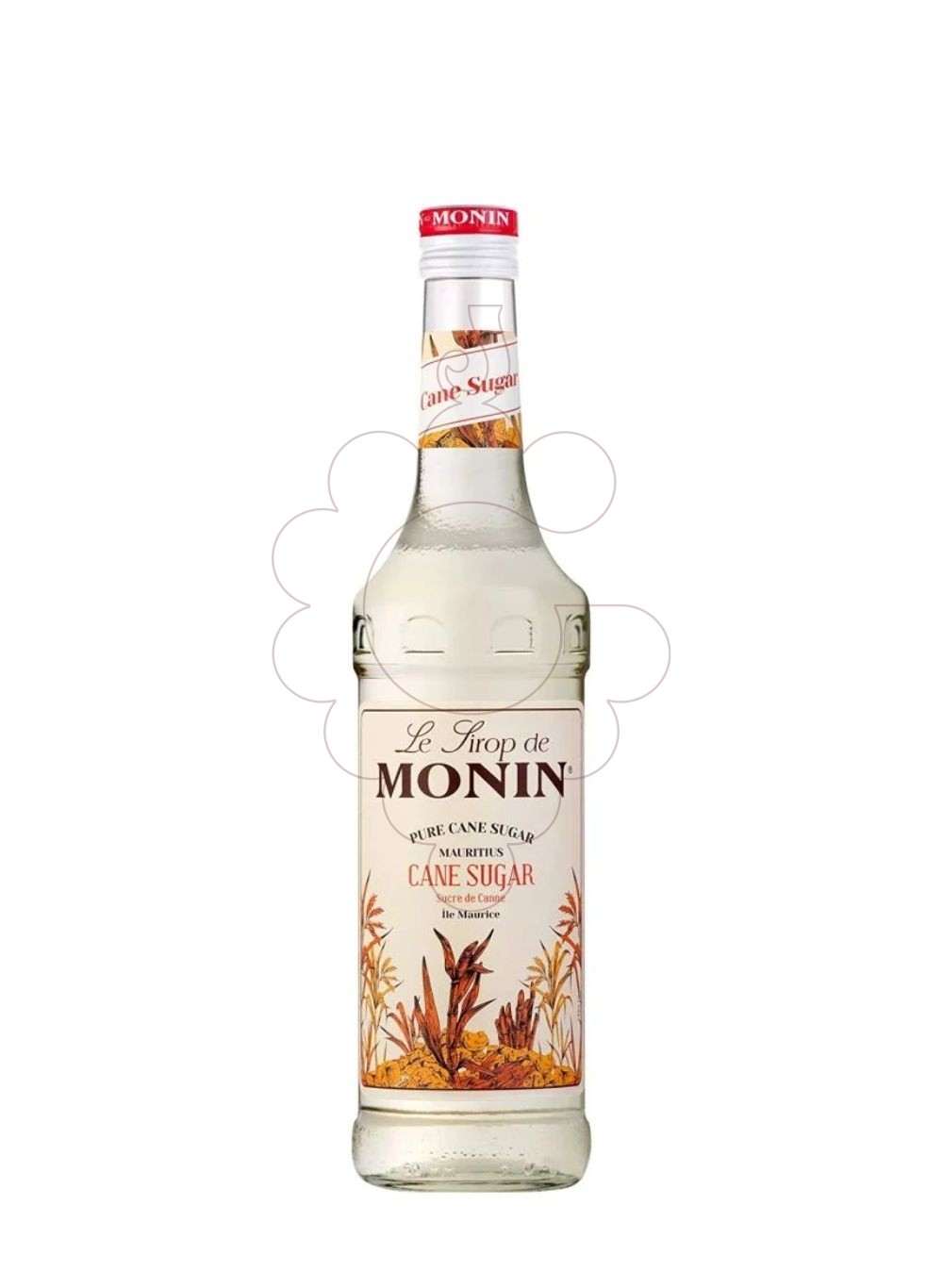Photo Syrups Monin Pur Sucre de Canne (without alcohol) PET