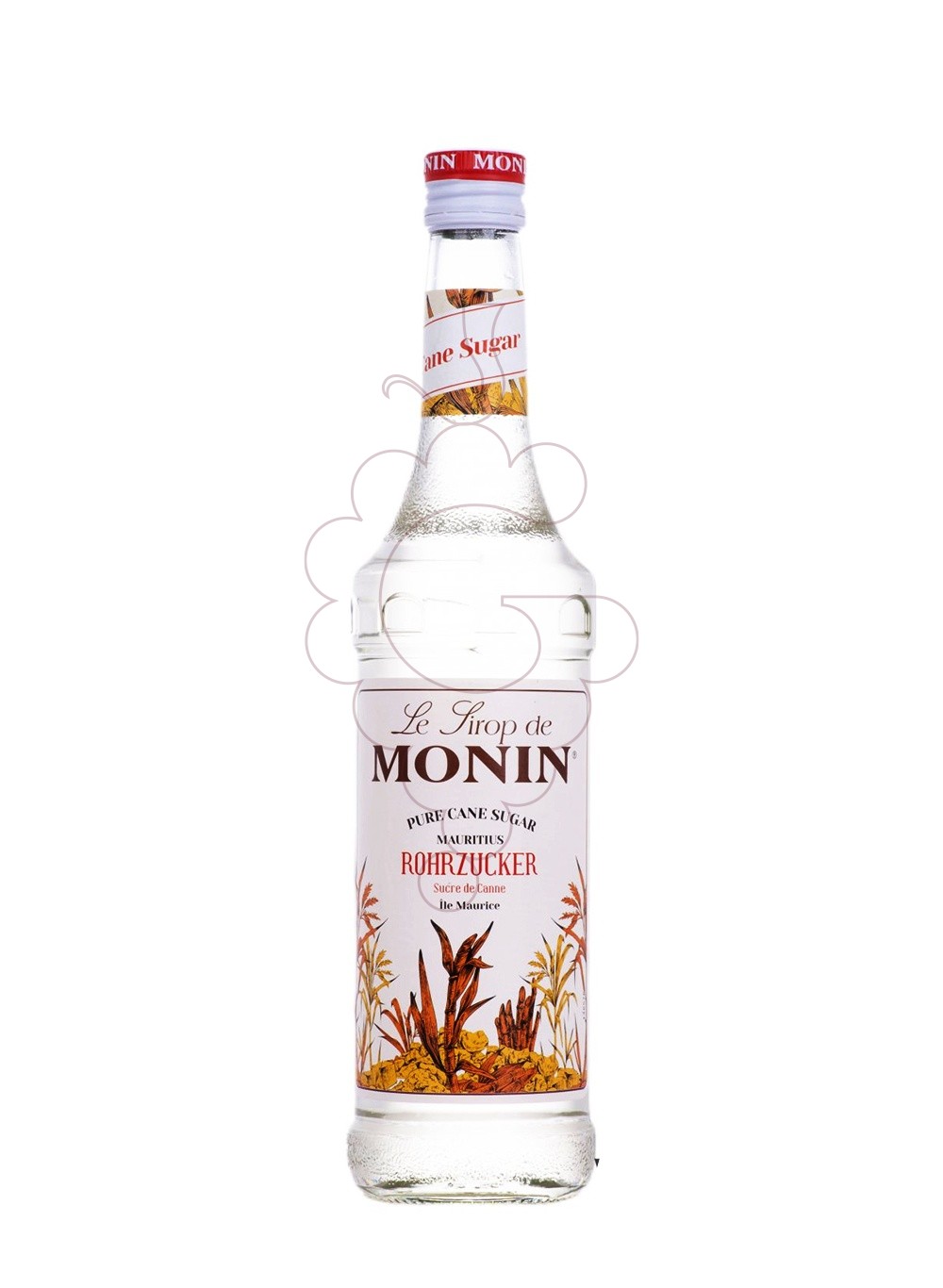 Photo Syrups Monin Pur Sucre de Canne (without alcohol)
