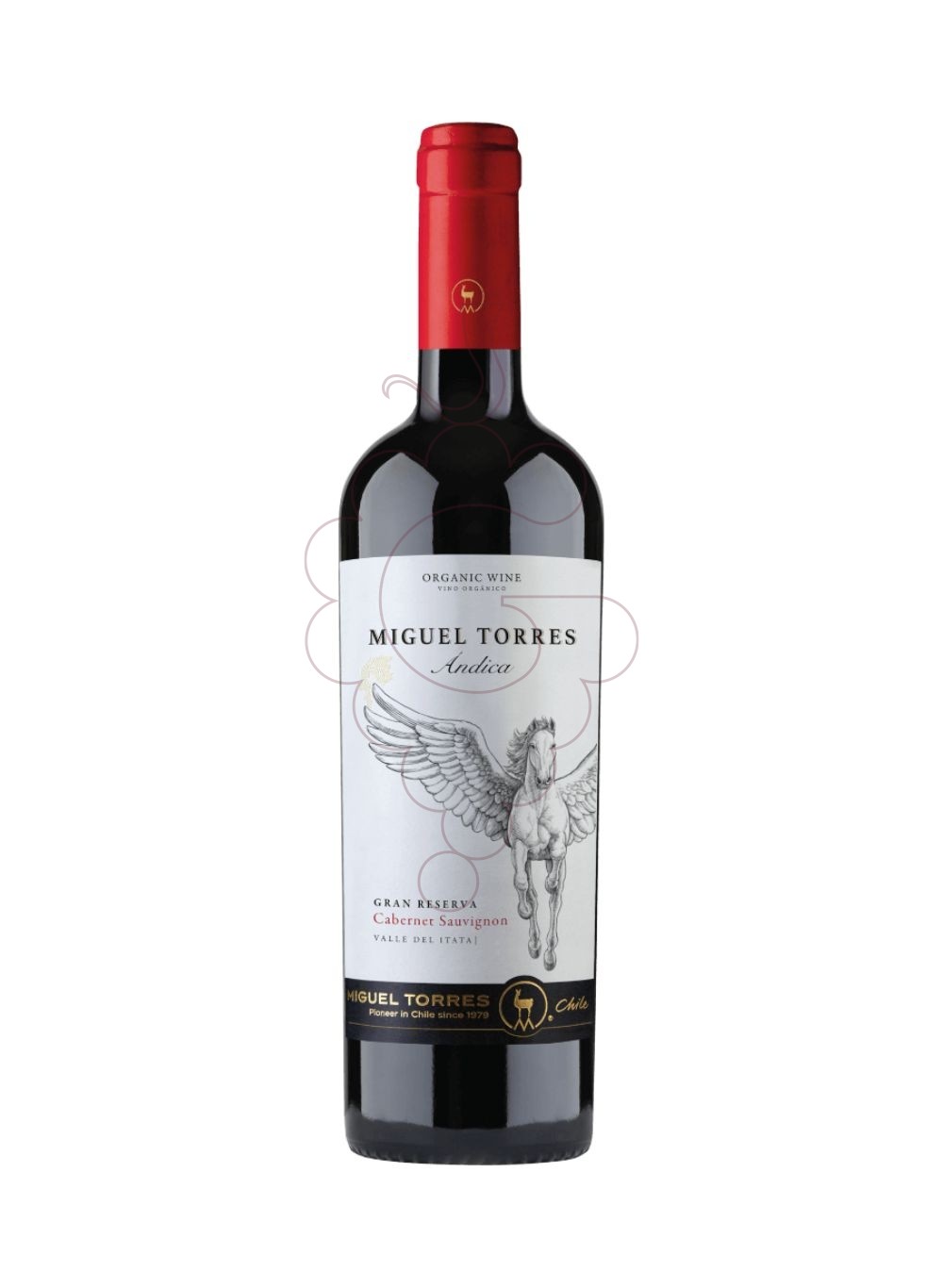 Photo Miguel Torres Andica Carmenere red wine