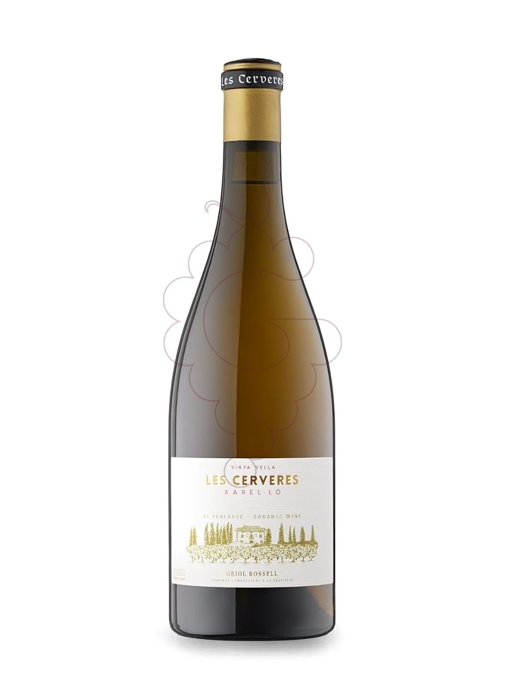 Photo Oriol Rossell Cerveres BL Xare white wine