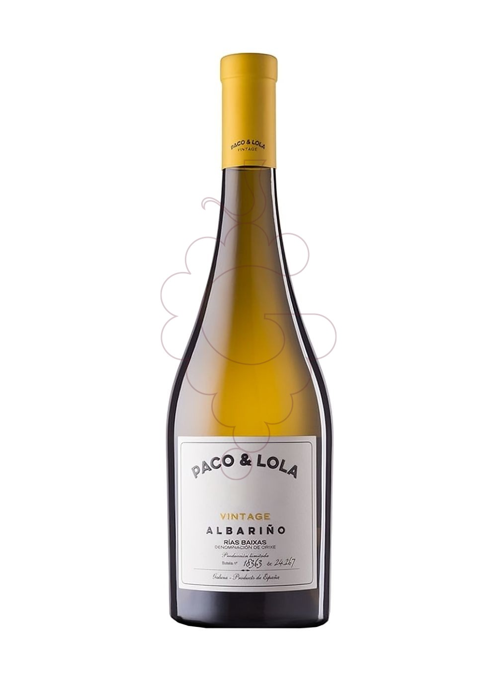 Photo Albariño Paco & Lola Vintage Magnum white wine