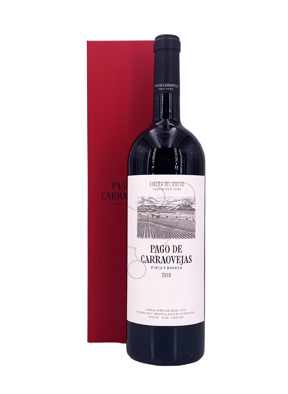 Photo Pago Carraovejas Magnum red wine