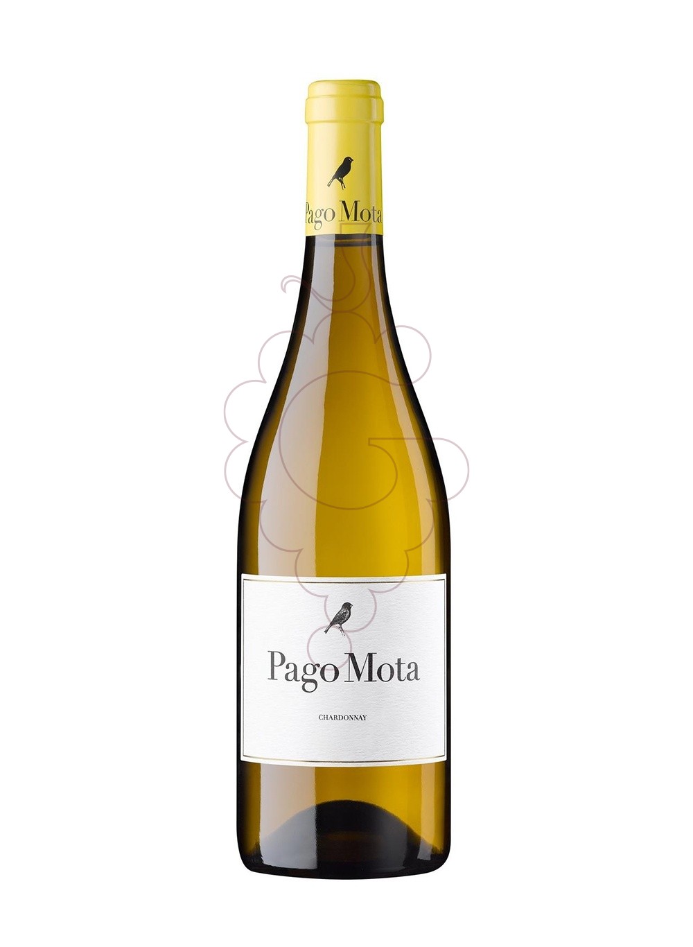 Photo Pago Mota Chardonnay white wine