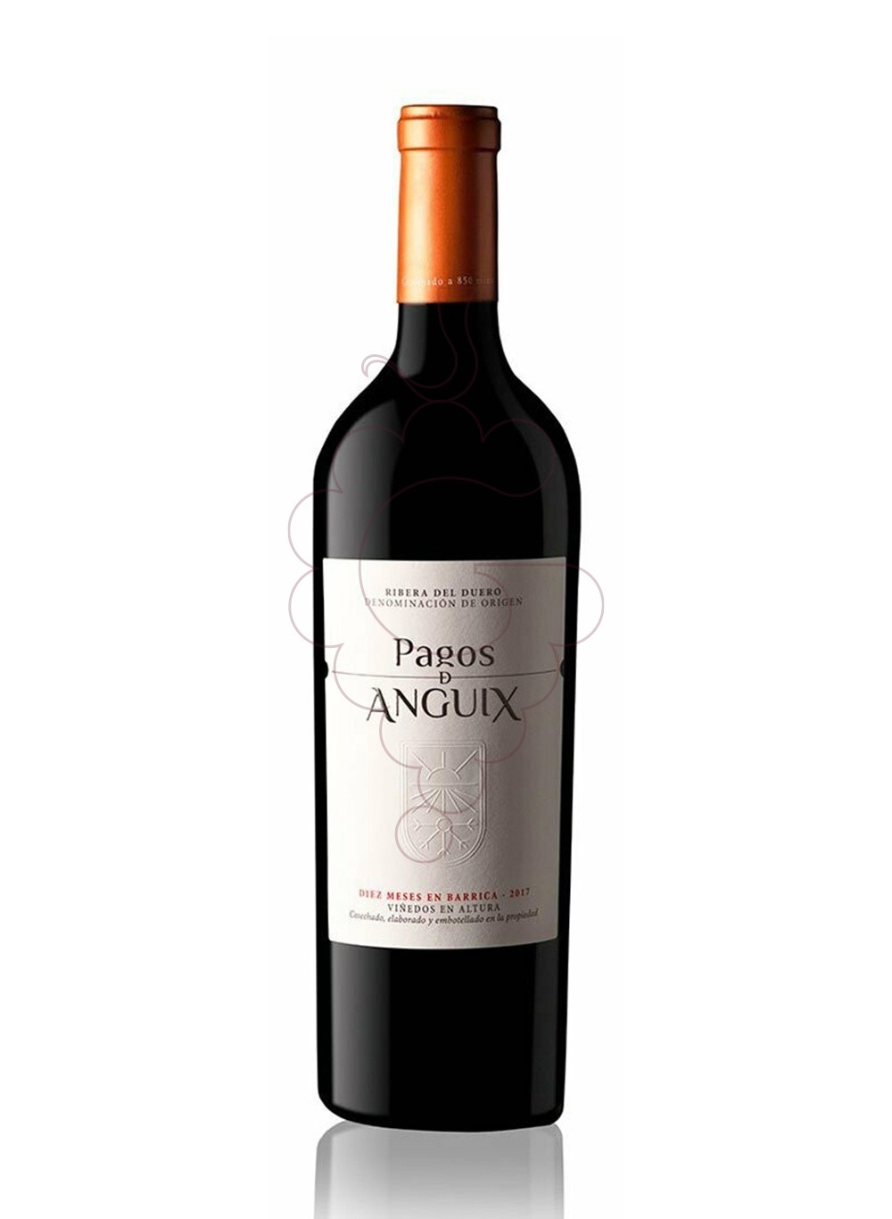 Photo Pagos de Anguix Costalara Magnum red wine