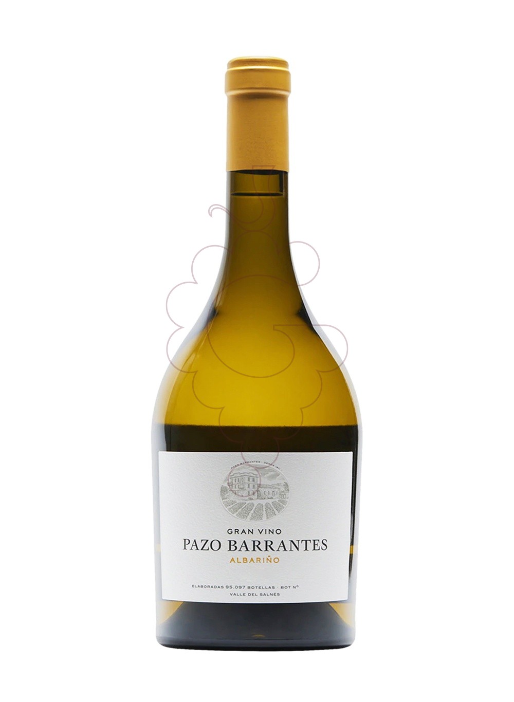 Photo Pazo Barrantes Gran Vino white wine