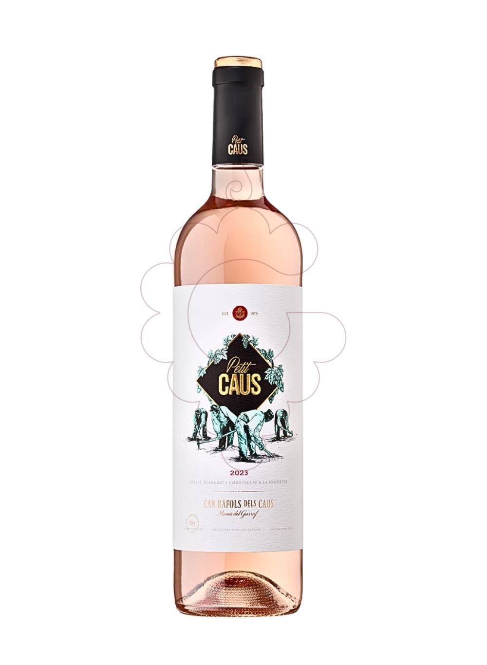 Photo Petit Caus Rosat rosé wine