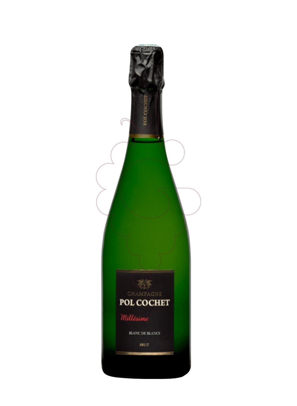Photo Pol Cochet Millesime Blanc de Blancs sparkling wine