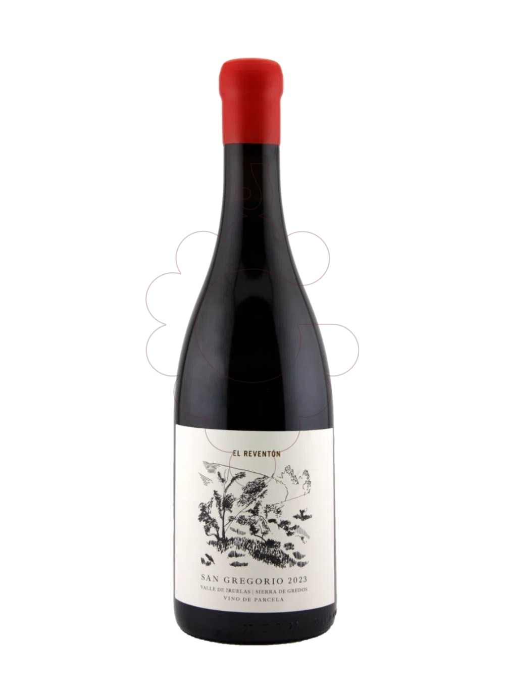 Photo El Reventón San Gregorio red wine