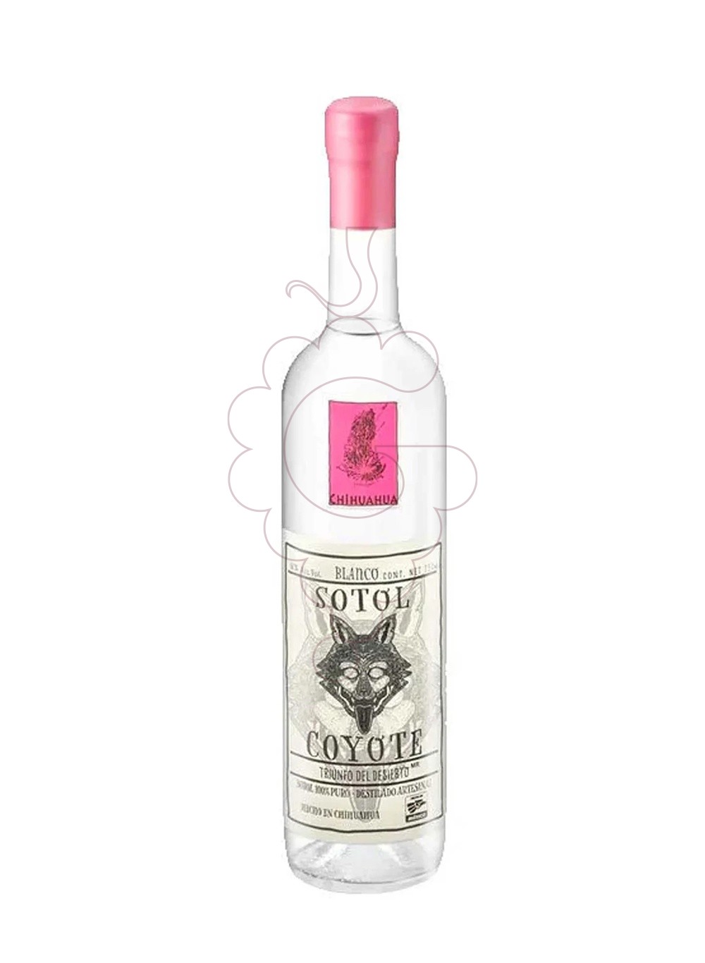 Photo Aguardiente Sotol blanco coyote chihuahua