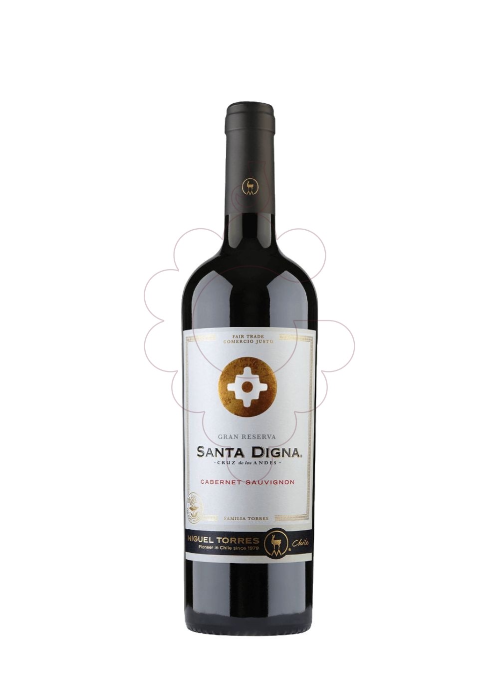 Photo Red Santa Digna Cabernet Sauvignon red wine