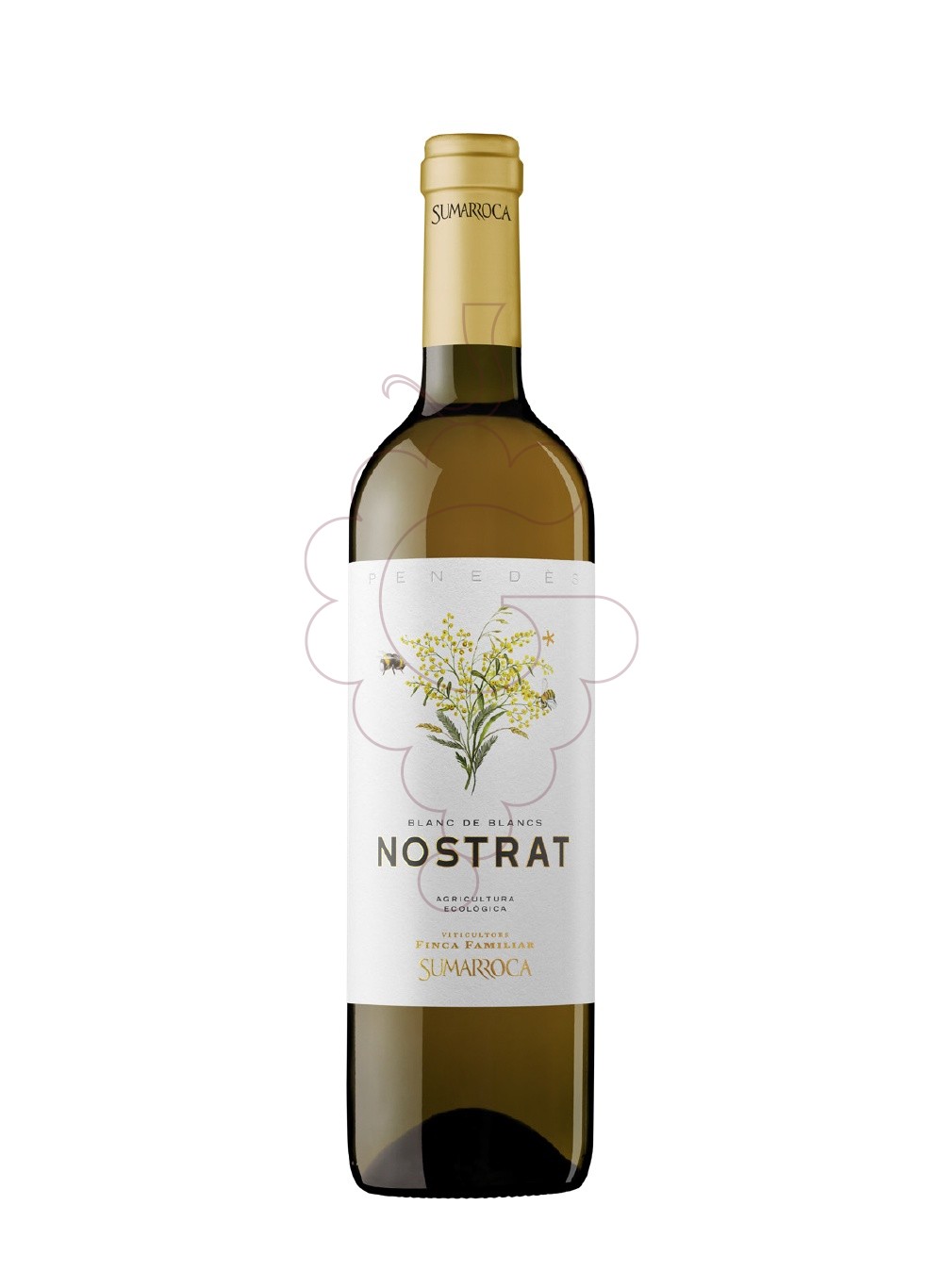 Photo Sumarroca Nostrat white wine