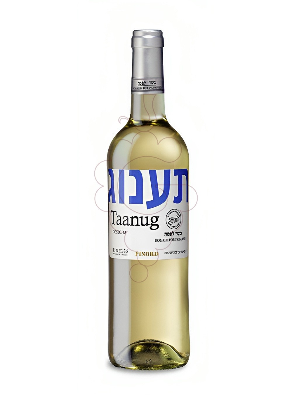 Photo White Kosher Taanug white wine