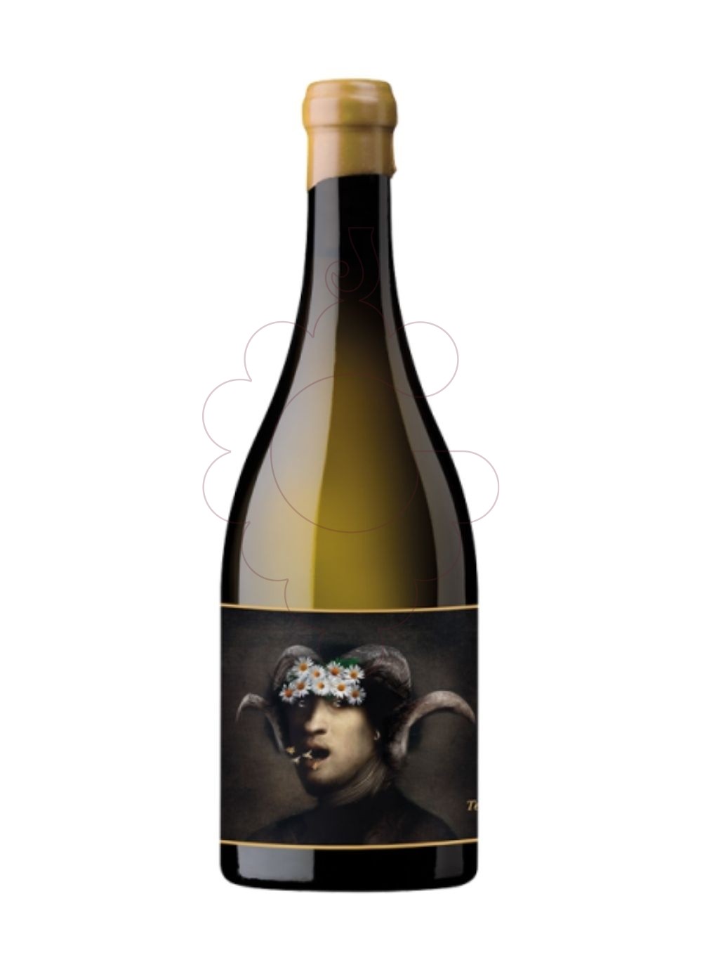 Photo Terlegiz 2021 white wine