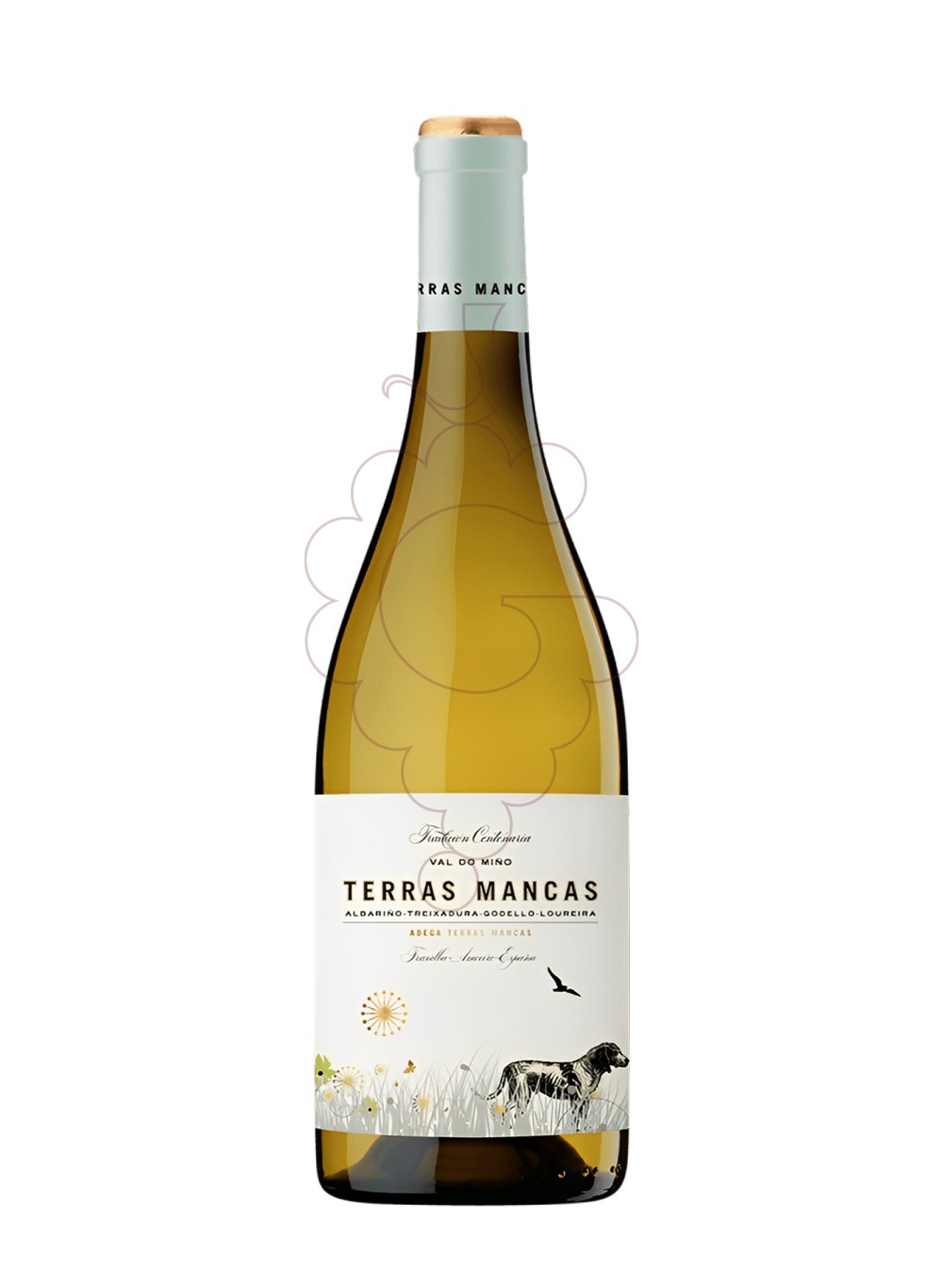 Photo Terras mancas blanco 21 white wine