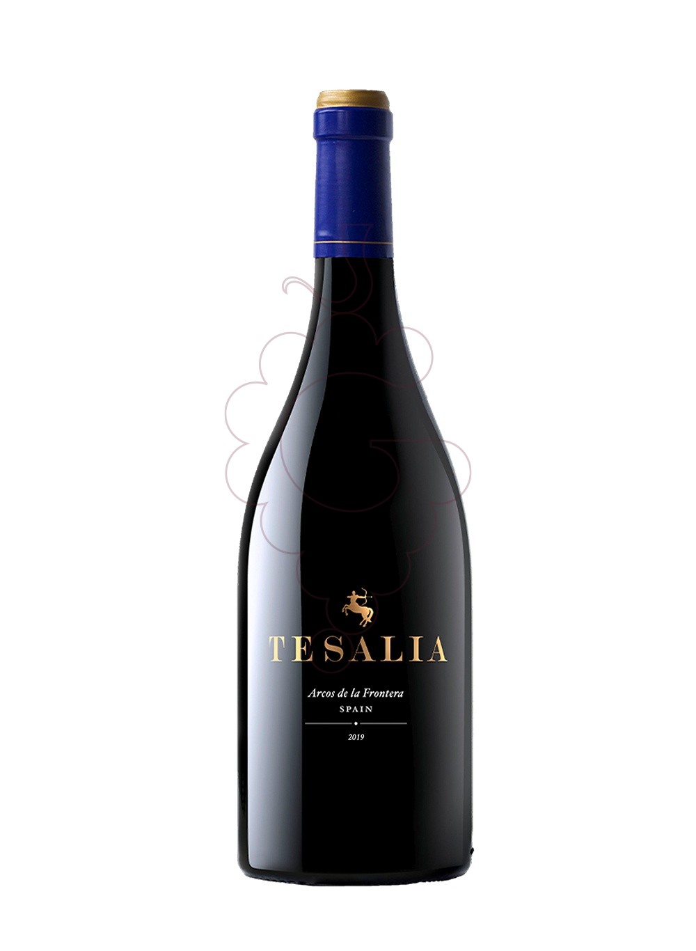 Photo Tesalia negre 2019 75 cl red wine