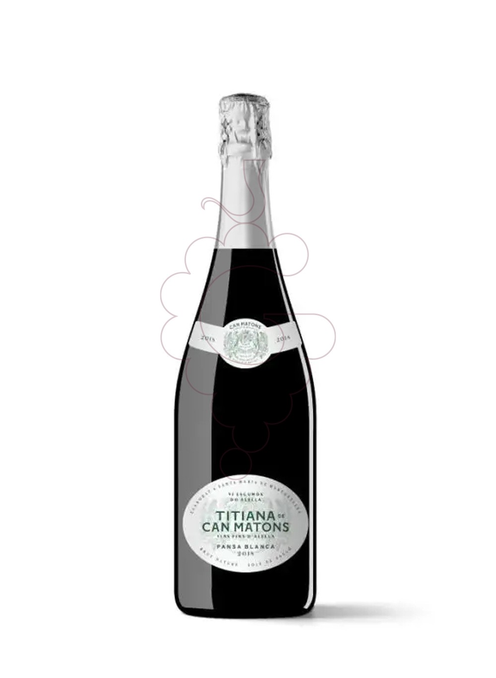 Photo Titiana de Can Matons Pansa Blanca Brut sparkling wine