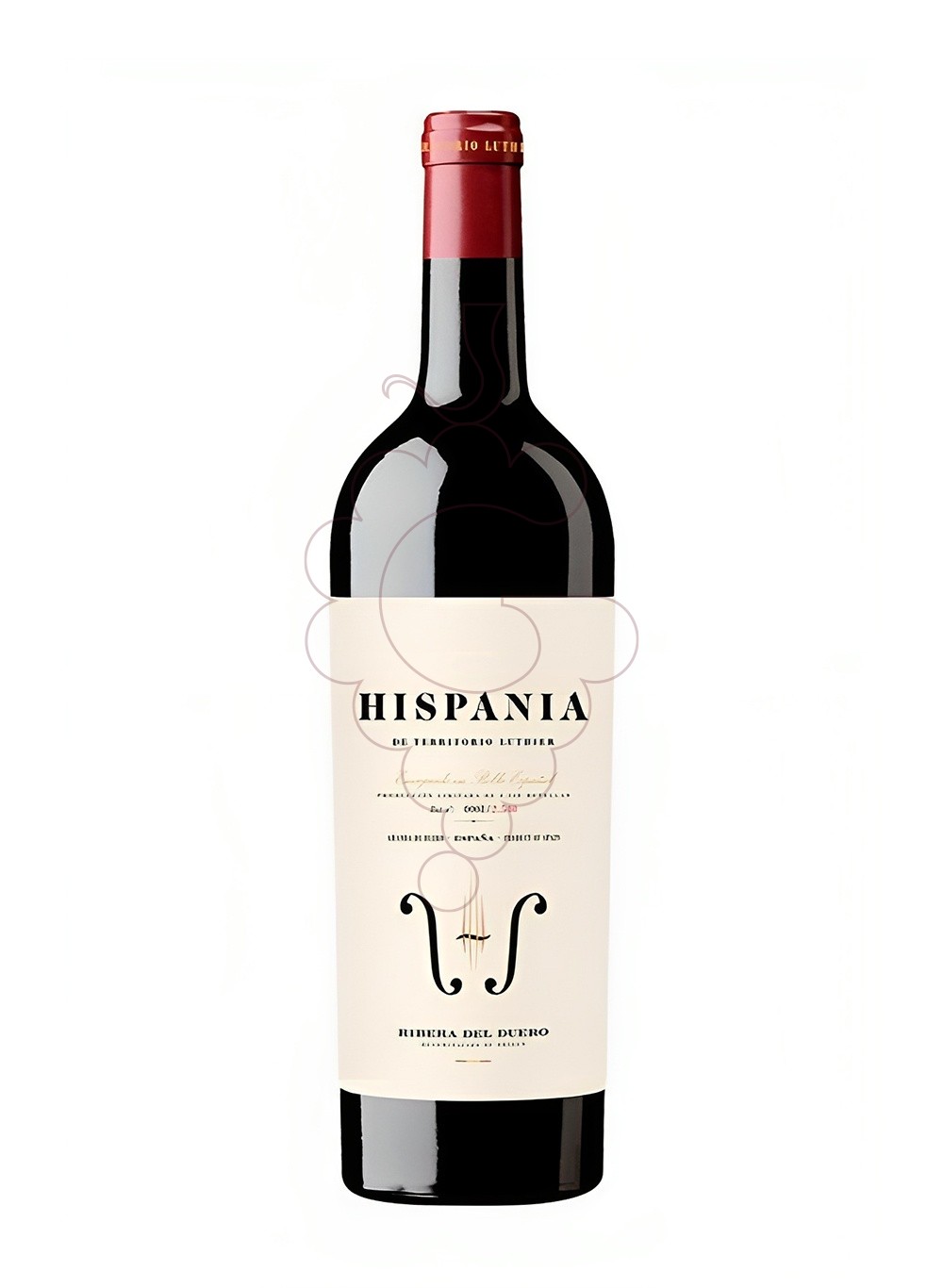 Photo Red Territorio Luthier Hispania Magnum red wine