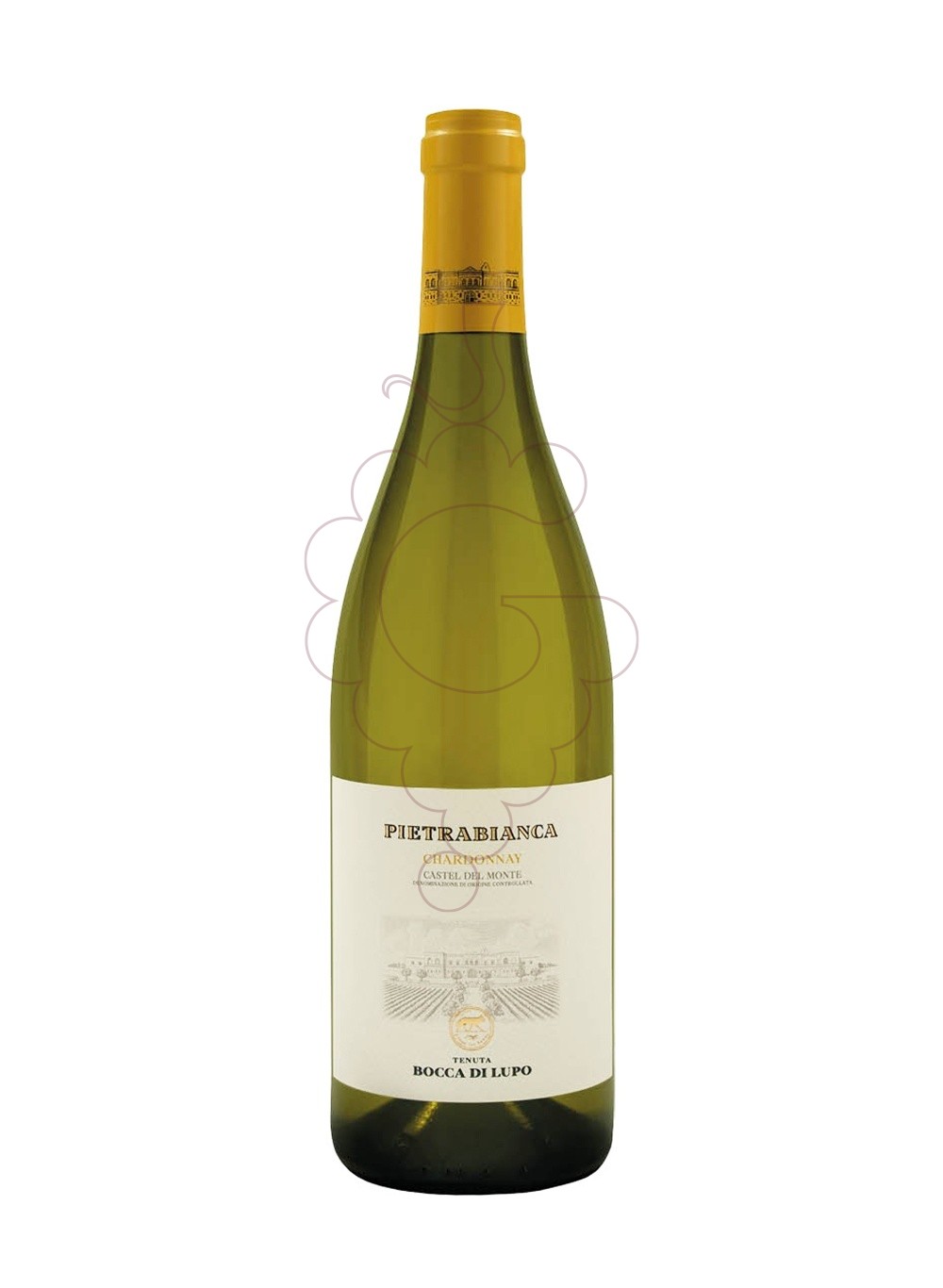 Photo Tormaresca Pietrabianca white wine