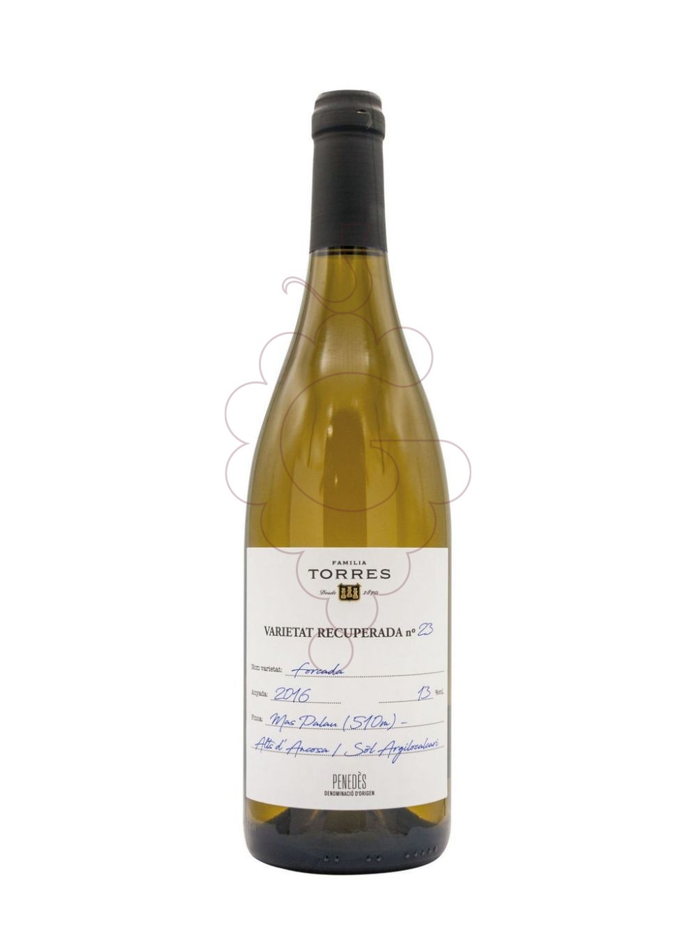 Photo Torres Forcada white wine