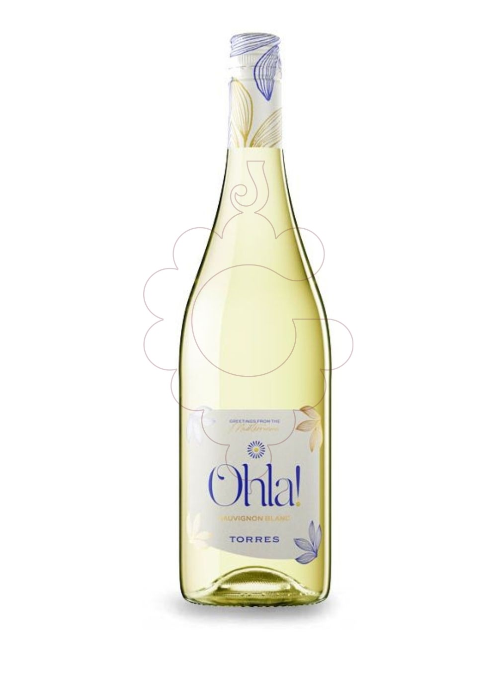Photo White Torres Ohla white wine
