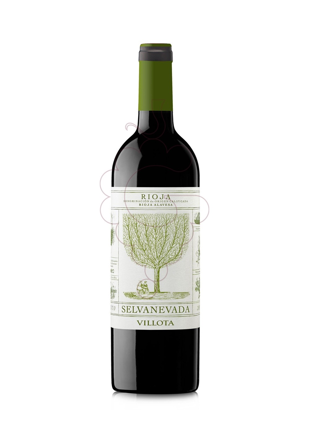 Photo Villota Selvanevada Blanco 21 white wine