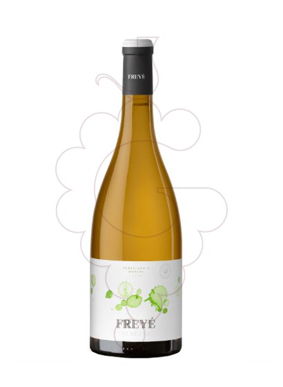 Photo Freyé Parellada Muscat Magnum white wine
