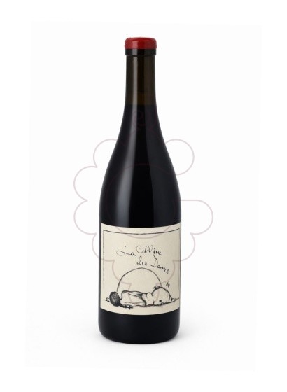 Photo Ganevat La Colline des Dames red wine