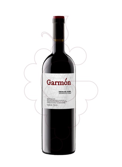 Photo Garmón red wine
